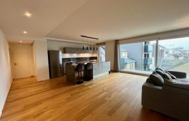 Très bel appartement lumineux avec balcon à Hollerich