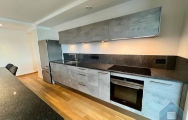 Très bel appartement lumineux avec balcon à Hollerich